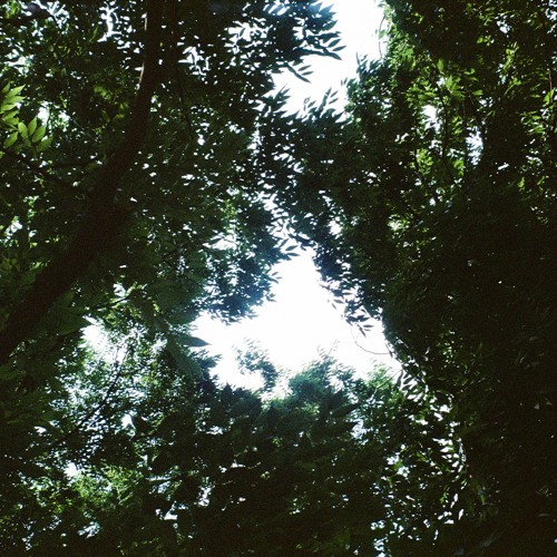 침잠하는 마음을 쥐고