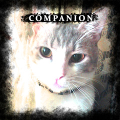 Companion