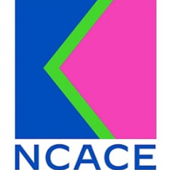 NCACE Independent Researcher Network Roundtable Consultation - 19 June 2025