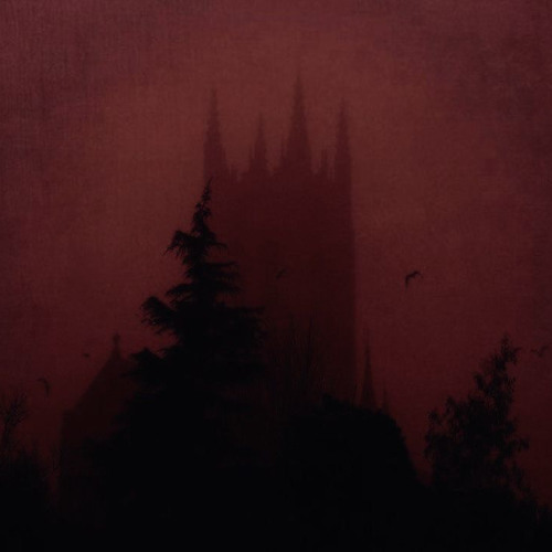 【﻿ｄｉｓｓｏｃｉａｔｉｏｎ】(熱帯低)