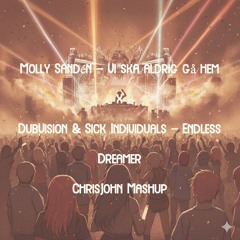 Vi ska aldrig gå hem (ChrisJohn Mashup)