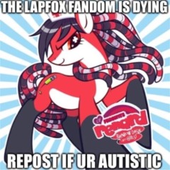 All Lapfox/ Halley Labs