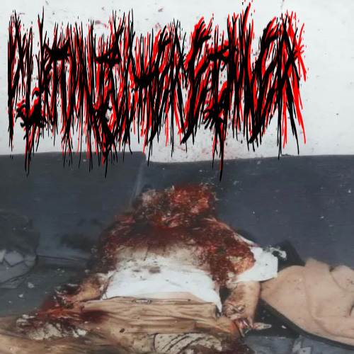 psychotronic weapon victim