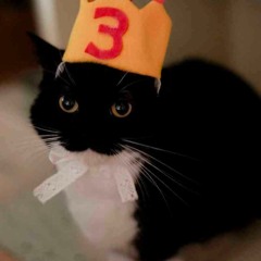 Tears From The Clouds