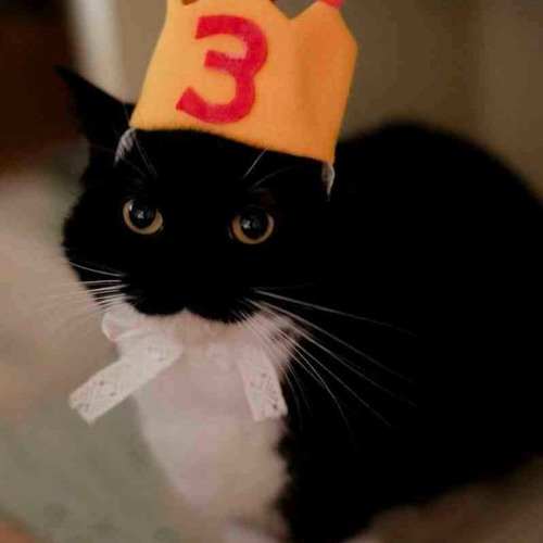 Tears From The Clouds