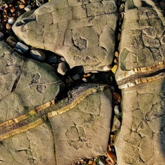 Conceptual Continuity
