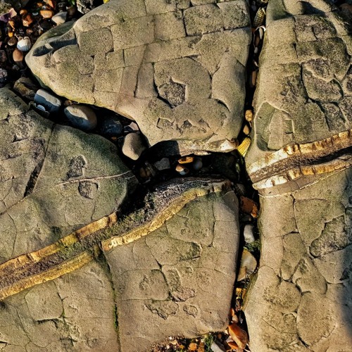 Conceptual Continuity