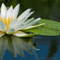 [FREE] Spring -Checkça- Prod Boom Bap Instrumentale