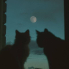 me sinto bem - diiaz