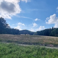 Naujieji Lietuviai - Jogurtai( club version)