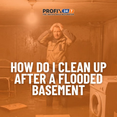 How Do I Clean Up After a Flooded Basement?