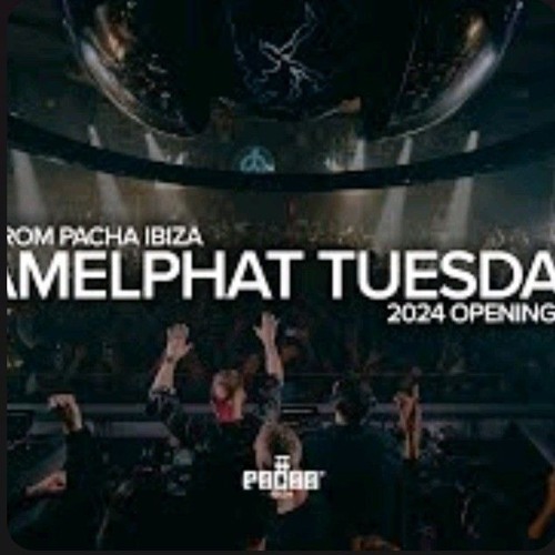 CAMELPHAT Tuesdays At Pacha - Opening Party 2024