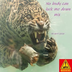 No Body Can Lock Me Down - April Mix 2020
