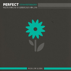 Perfect (Masterlink Sessions)