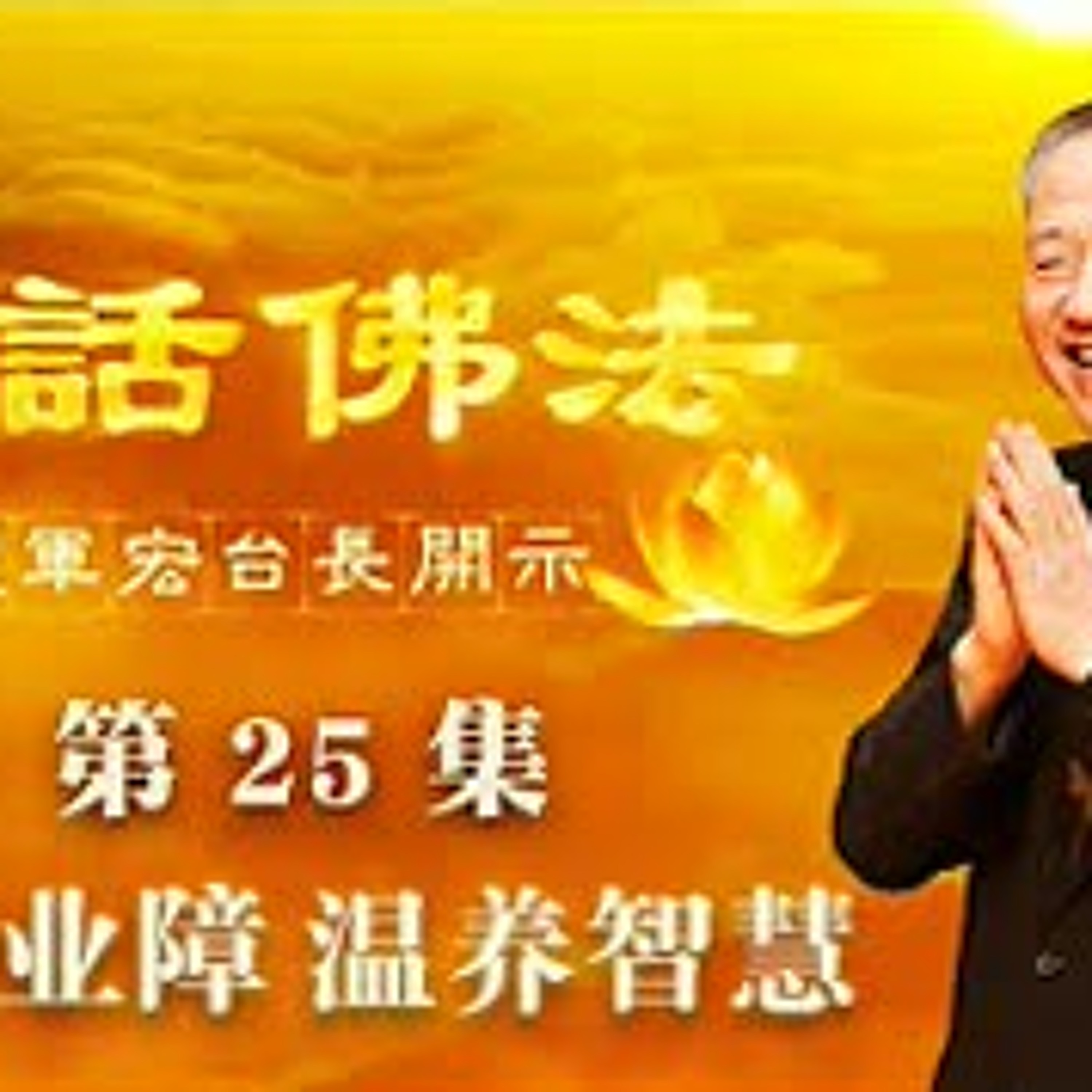 25.2020年3月28日洗清业障，温养智慧（第二十五集） episode artwork