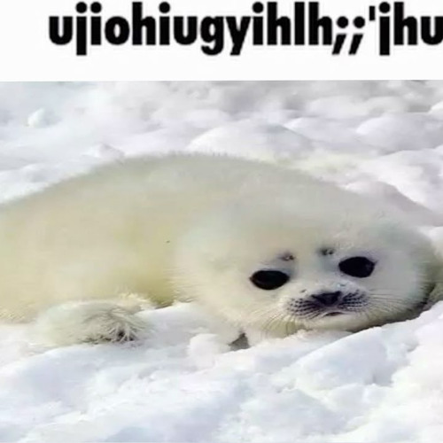 TFBOYS Practice Book For Youth 青春修炼手册 官方