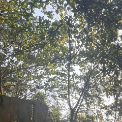 Breaking Through [LIVE]