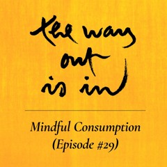 Mindful Consumption | TWOII podcast | Episode #29