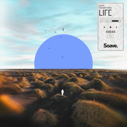 Aiden & Summer Vibes - Life