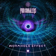 Mud Crawlers - Wormhole Effect (Original Mix)
