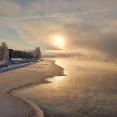 The black sheep's back in town