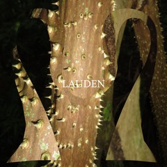 Lauden : Menke Felix (19.11.25)