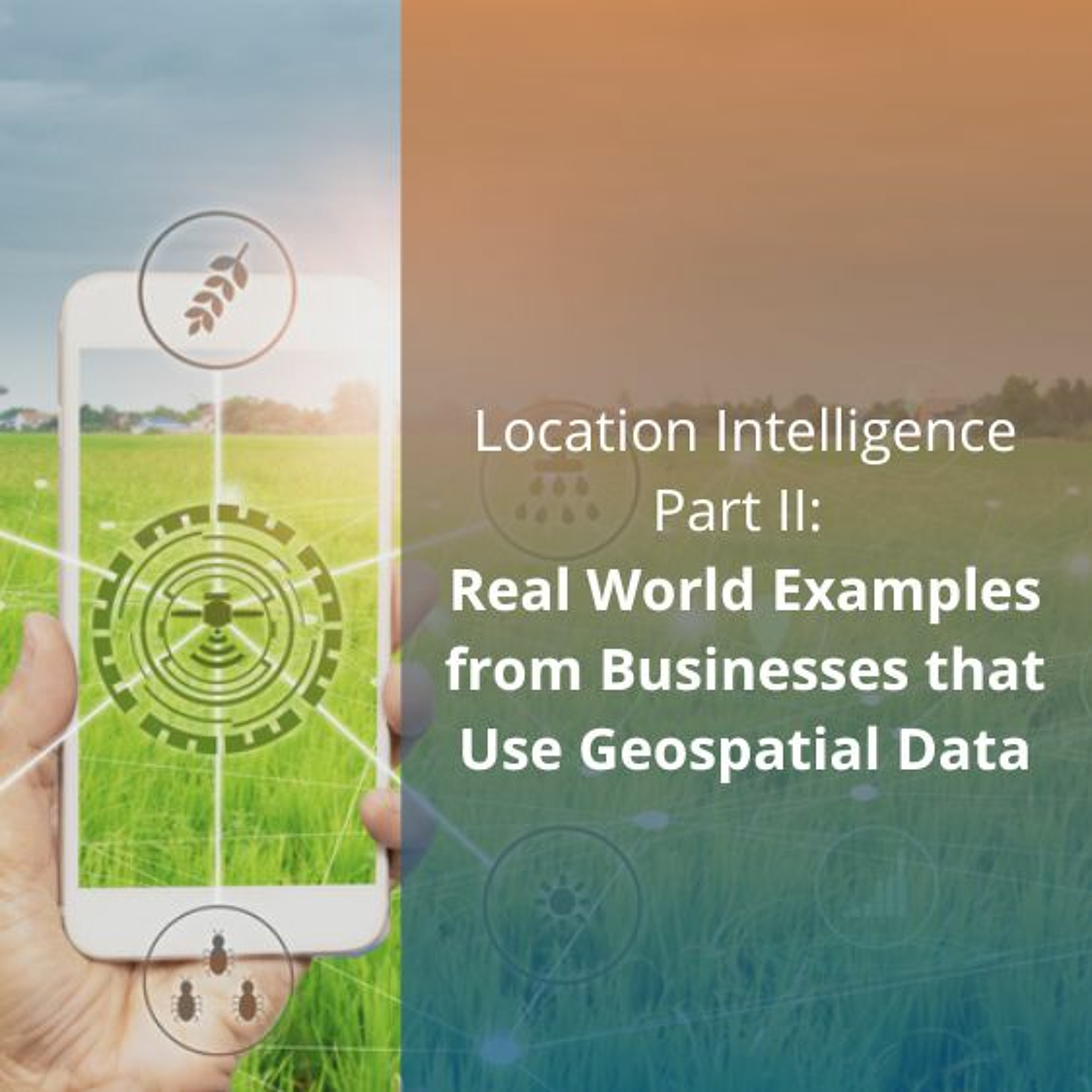 cover of episode Location Intelligence Part II: Examples from Businesses that Use Geospatial Data - Audio Blog