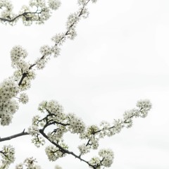 Schönster Herr Jesus - Team Rainer Harter