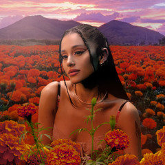 Ariana Grande - A Reality Without You