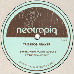 Various Artists - Tree Frog Army EP (NtQ006)