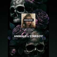 Animals x Starboy |Slowed x Perfection~