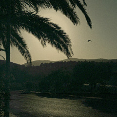 Schwarzer Sand (black sand)_DasFax