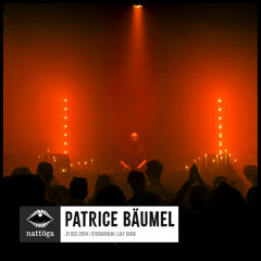Patrice Bäumel | Dec 2024 | Lily Dusk