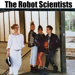 IM #25 Special Mix - The Robot Scientists (Emerald & Doreen Recordings)