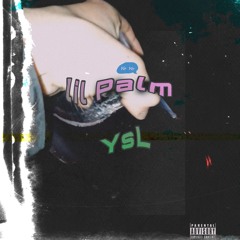 lil Palm YSL