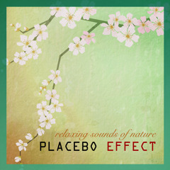 Peaceful Sea (Nature Sounds Ambient Music)