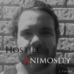 Hostile Animosity