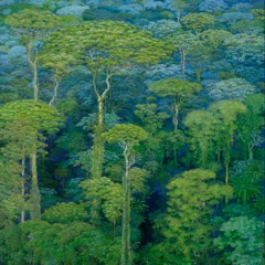 Jungle Tech