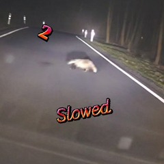kurwa mác tekkno slowed