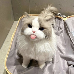 Y2meta.app - ZIVA MAGNOLYA - Cukup || Band Version by Reza Zulfikar (128 kbps).mp3