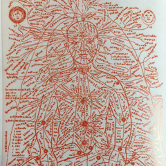 Comme un baiser (mini ref a gainsbourg a la fin)