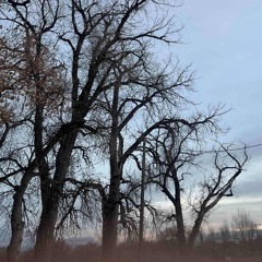 untitled-freestyle-002.