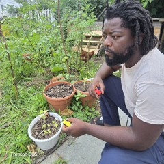 Ubuntu Permaculture Mission Inc.