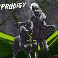 The Prodigy Omen- DJ Innovator Bootleg (Free Download)