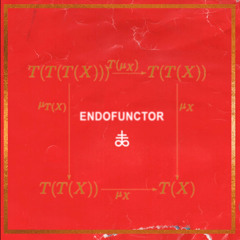 Endofunctor by The Buttress