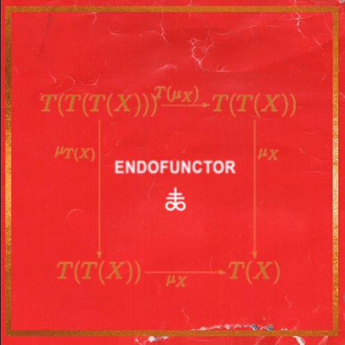 Endofunctor by The Buttress