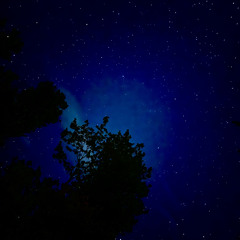 TESTMYLIT PROD OK & NATE