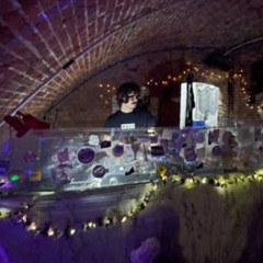 Welcome to the Enchanted forest 2025
