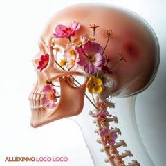 Allexinno - Loco Loco