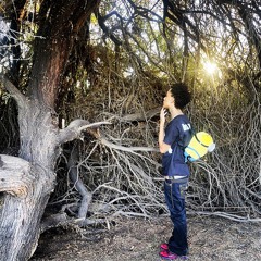 stuck in my ways p bryalle